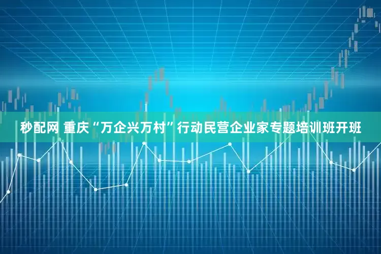 秒配网 重庆“万企兴万村”行动民营企业家专题培训班开班