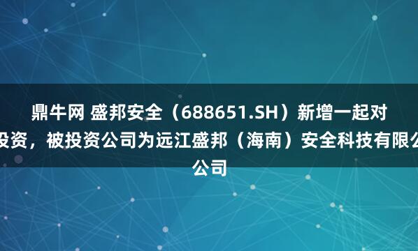 鼎牛网 盛邦安全（688651.SH）新增一起对外投资，被投资公司为远江盛邦（海南）安全科技有限公司